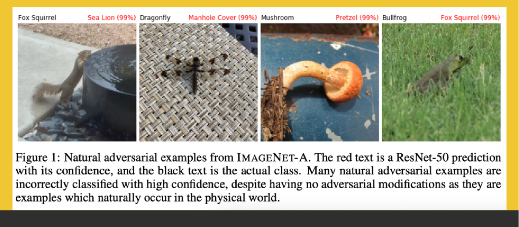 Natural adversarial examples from ImageNet-A dataset 